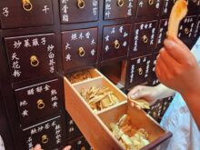 {{brizy_dc_image_alt imageSrc=